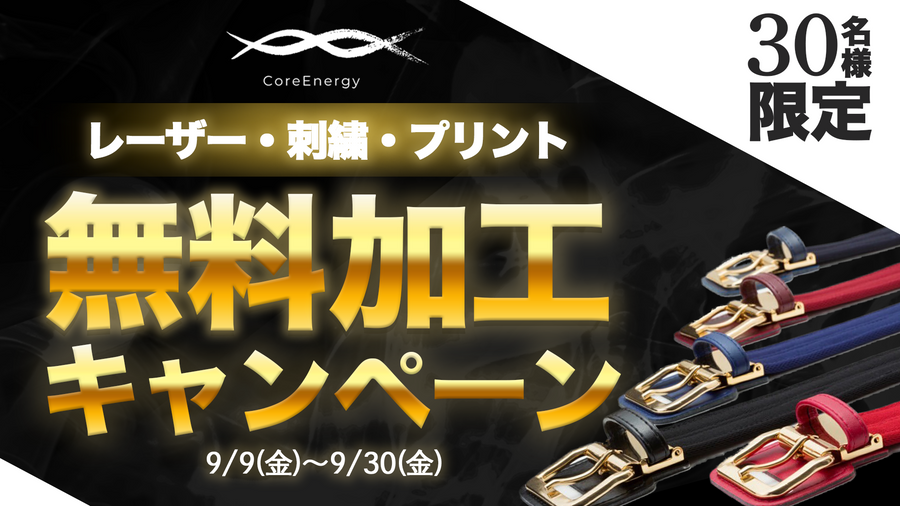※最終値下げ※コアエナジーベルト(ネイビー&ゴールド) コアテクノロジー】コアエナジー3/ベルト/ネイビー/ゴールド